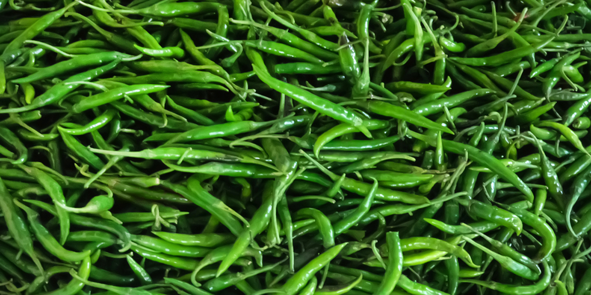 Green Chili