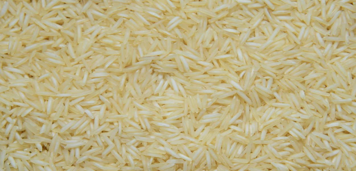 Sharbati Raw Non Basmati Rice